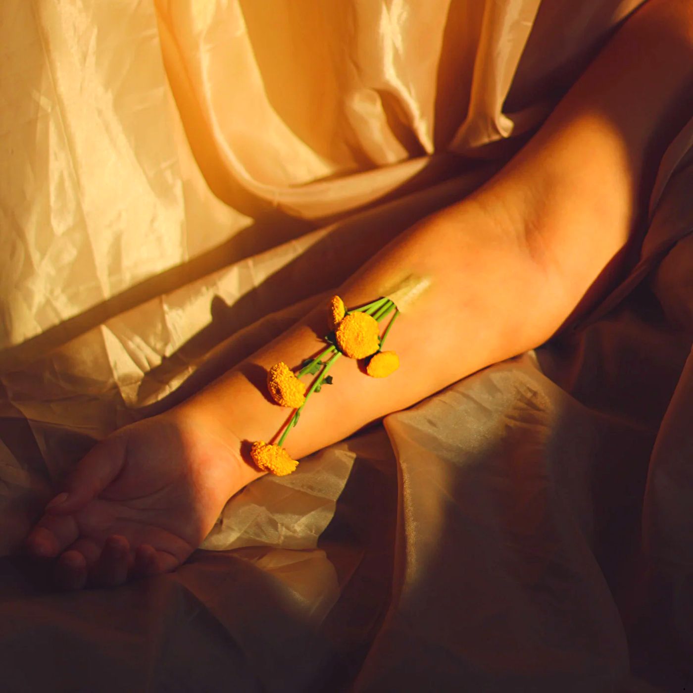 Scent of a Woman π©βπ¬π·