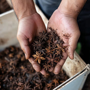 Scents of the Spice Route